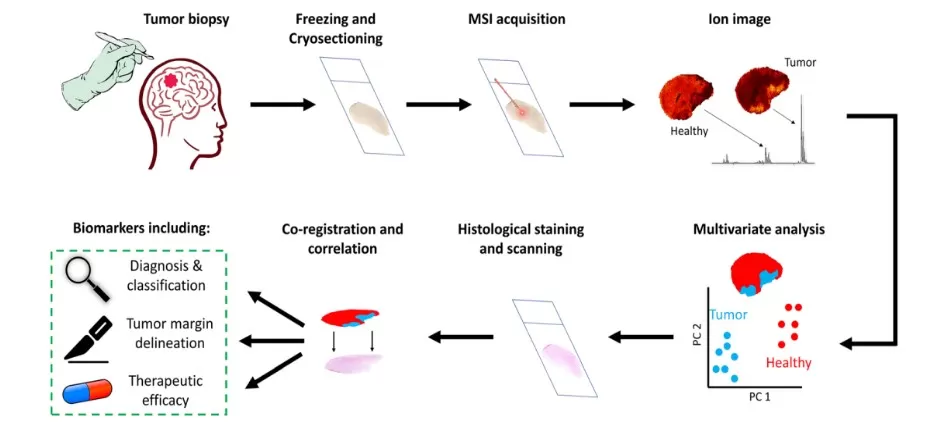 MSI spatial metabolomics for cancer research MSI spatial metabolomics for cancer research